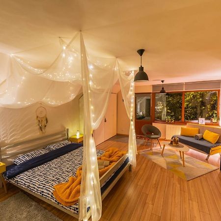 Dragonfly Studio With Garden Braşov Exterior foto