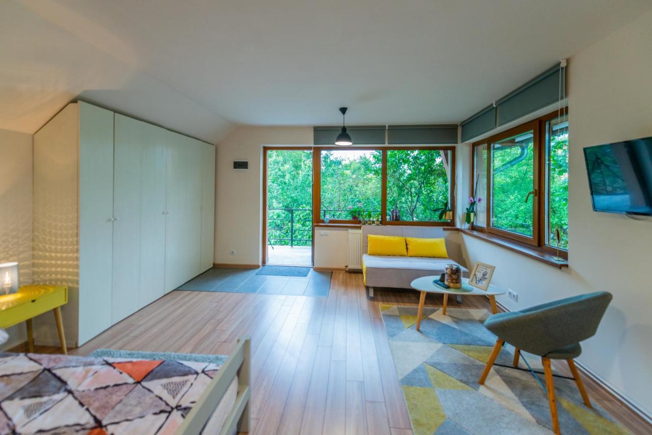 Dragonfly Studio With Garden Braşov Exterior foto