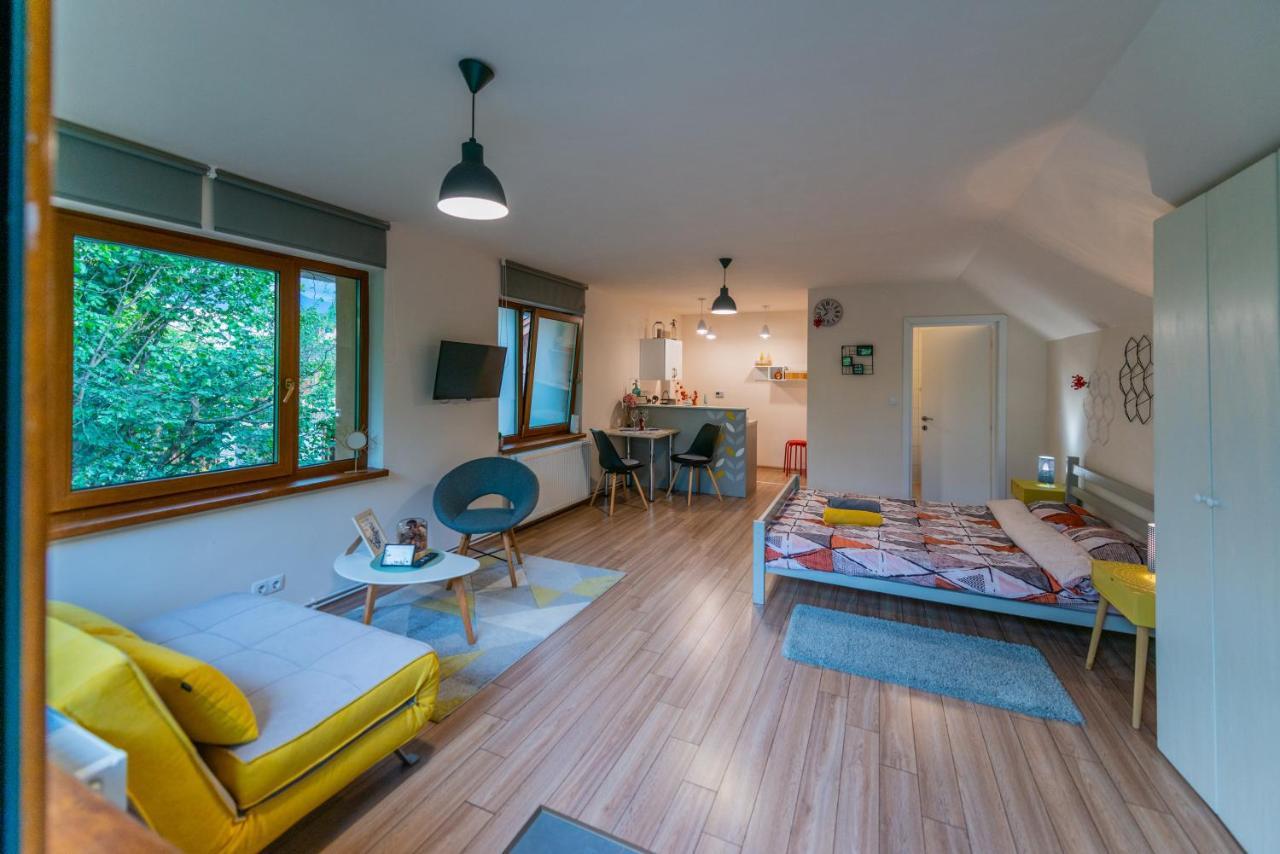 Dragonfly Studio With Garden Braşov Exterior foto