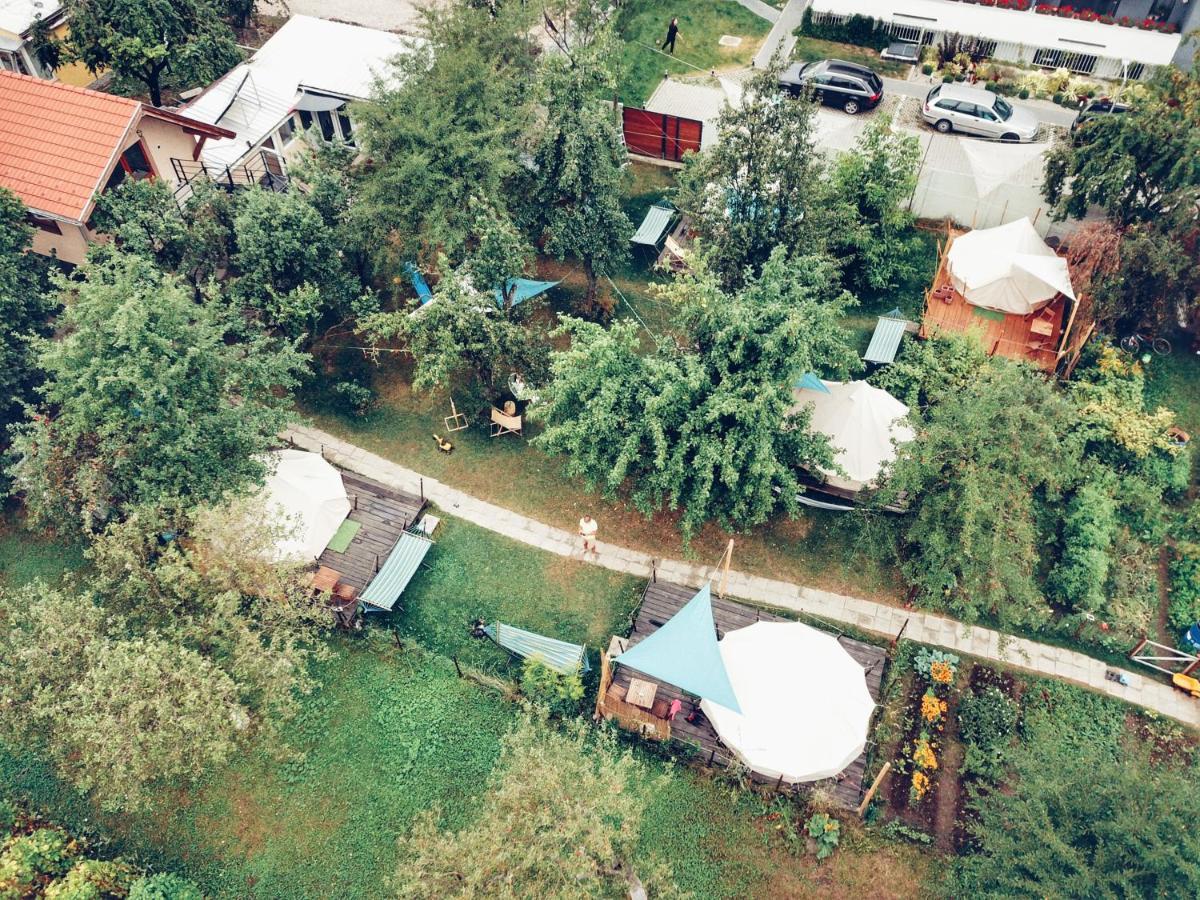 Dragonfly Studio With Garden Braşov Exterior foto