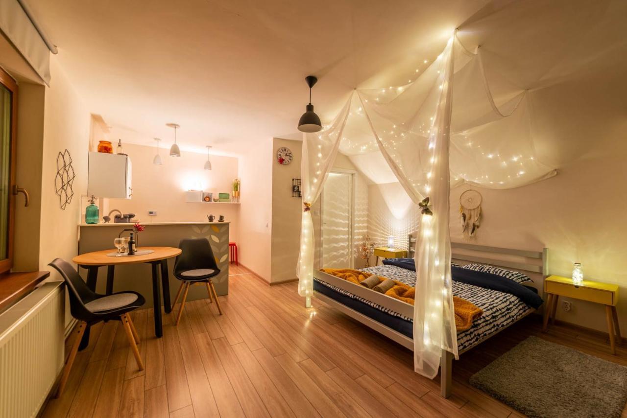 Dragonfly Studio With Garden Braşov Exterior foto