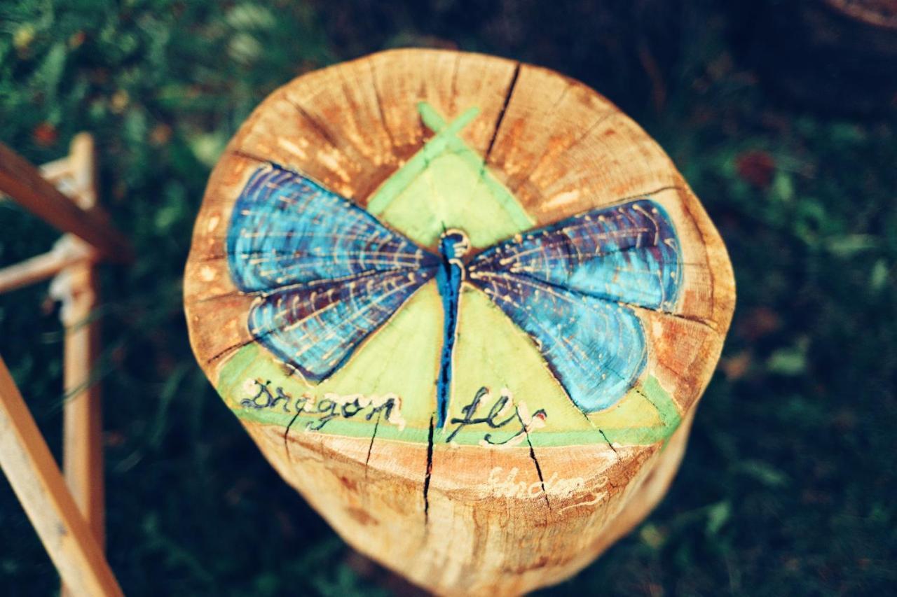 Dragonfly Studio With Garden Braşov Exterior foto