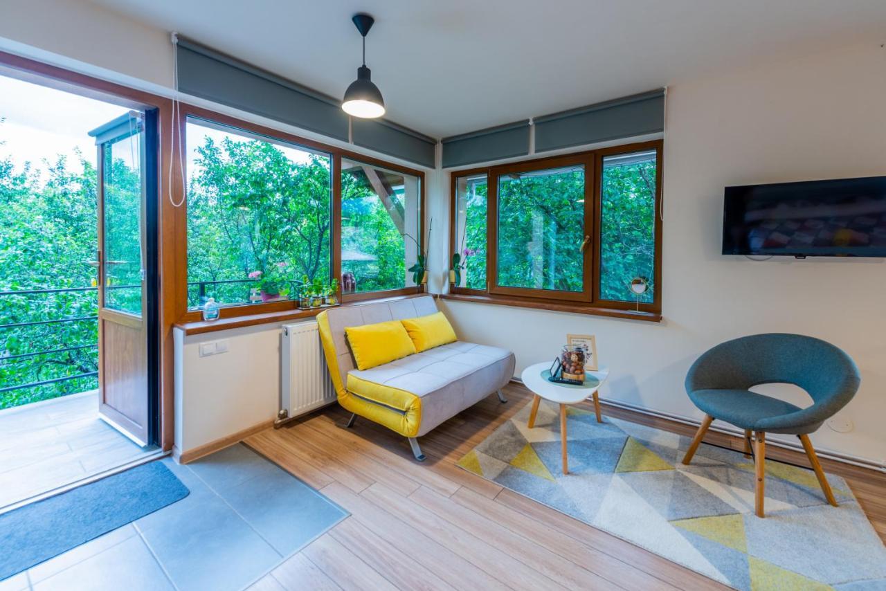 Dragonfly Studio With Garden Braşov Exterior foto