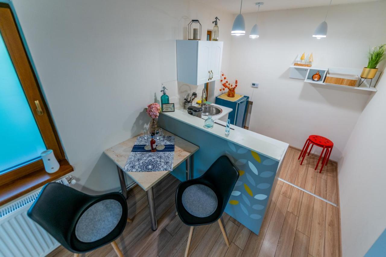 Dragonfly Studio With Garden Braşov Exterior foto