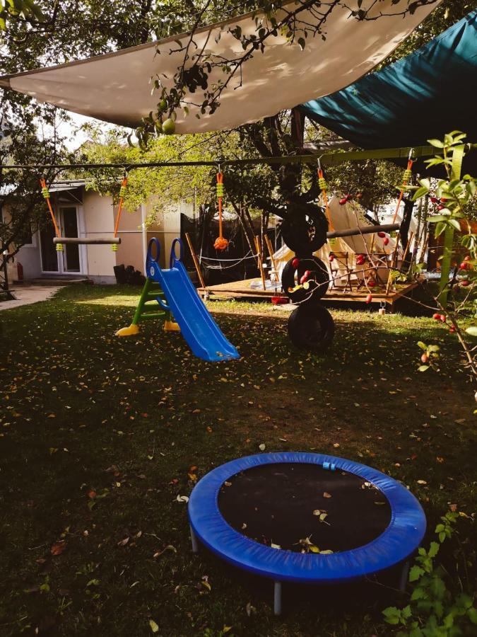 Dragonfly Studio With Garden Braşov Exterior foto