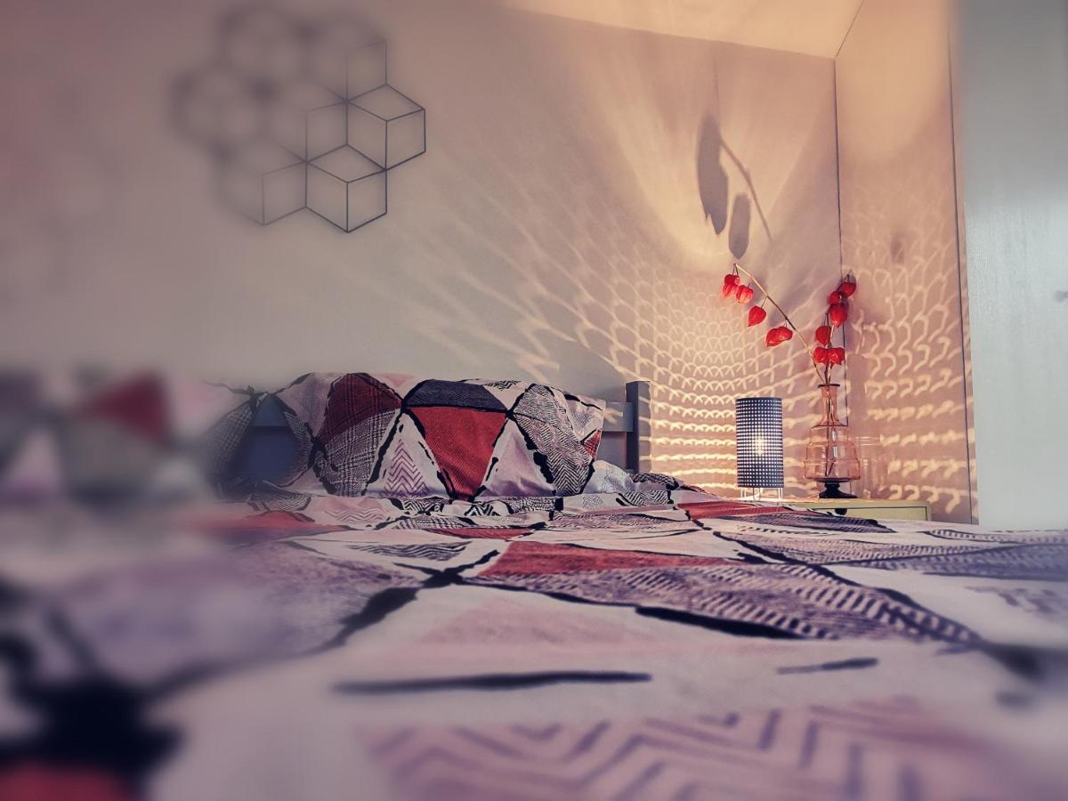 Dragonfly Studio With Garden Braşov Exterior foto