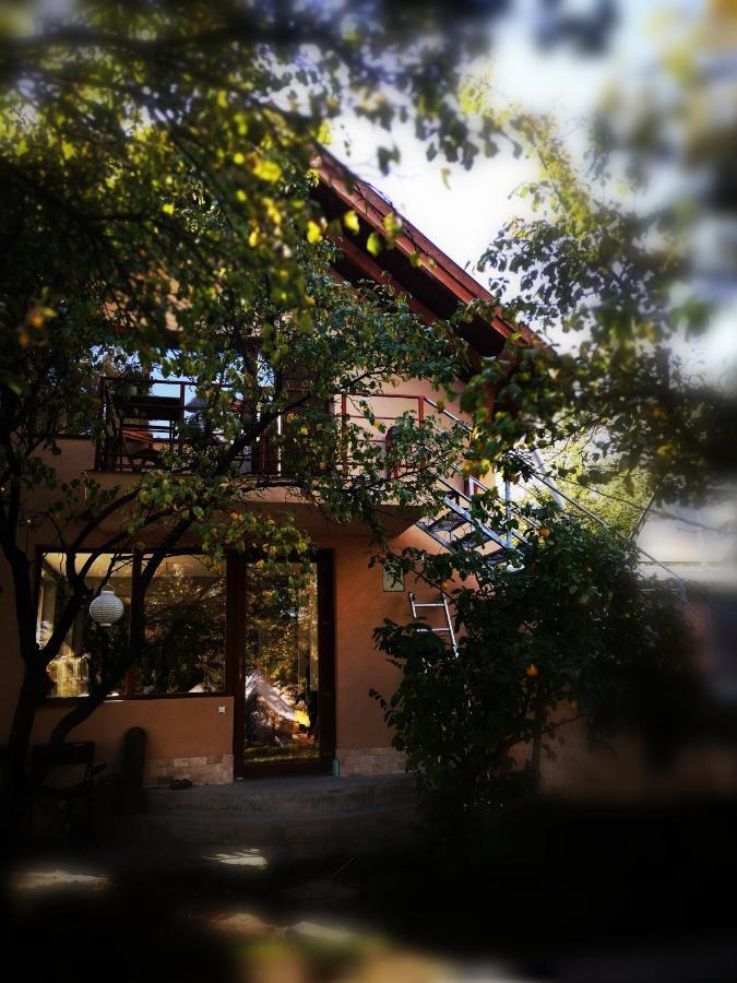Dragonfly Studio With Garden Braşov Exterior foto